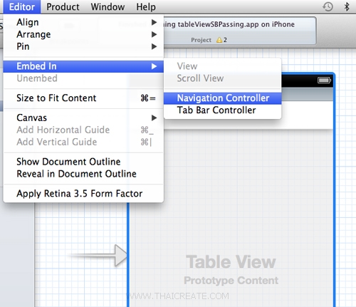 iOS/iPhone Storyboard and Passing Data Between View