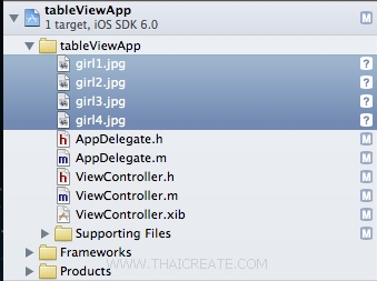 iOS/iPhone Table View and Image Multiple Column iOS/iPhone Table View and Image Multiple Column