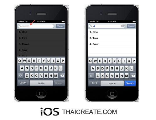 iOS/iPhone Search Bar Display Controller