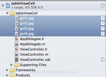 iOS/iPhone Table View and Table View Cell - Custom Cell Column