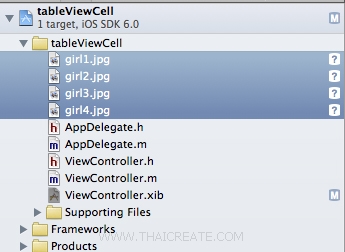 iOS/iPhone Table View and Table View Cell - Custom Cell Column iOS/iPhone Table View and Table View Cell - Custom Cell Column