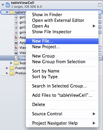 iOS/iPhone Table View and Table View Cell - Custom Cell Column iOS/iPhone Table View and Table View Cell - Custom Cell Column