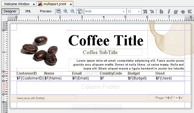 iReport Create Parameters and Pass Variable