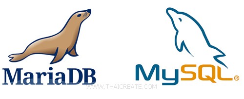 รู้จัก MariaDB คืออะไร และเปรียบเรียบระหว่าง MariaDB กับ MySQL