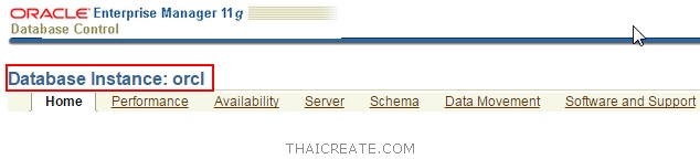 ตอนที่ 2 : การสร้าง Database และ Instance ใหม่บน Oracle Database