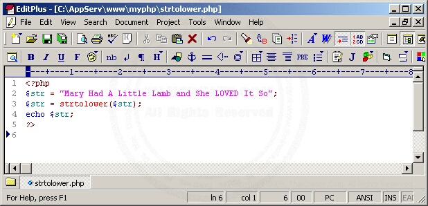 PHP strtolower
