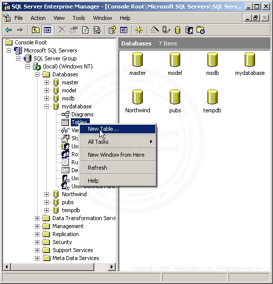 SQL Server Create Database and Table