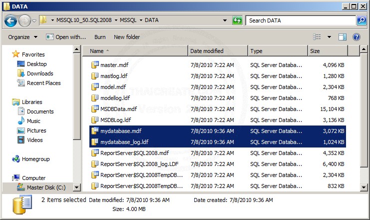 SQL Server 2008 Export/Backup