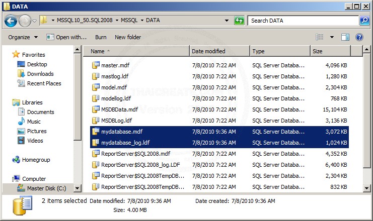 SQL Server 2008 Export & Backup