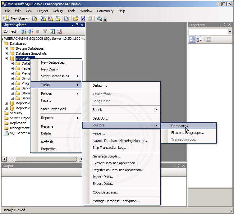 SQL Server 2008 Restore/Import