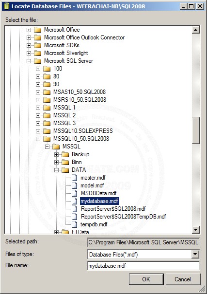 SQL Server  2008 Restore/Import