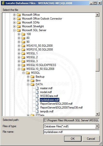 SQL Server 2008 Restore Database