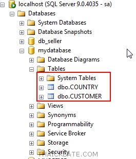 Stored Procedure บน SQL Server