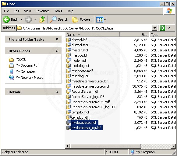 SQL Server 2005 Export/Backup