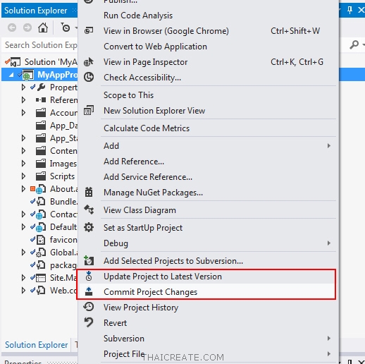 SVN Hosting Visual Studio