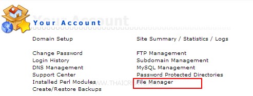Direct Admin : File Manager