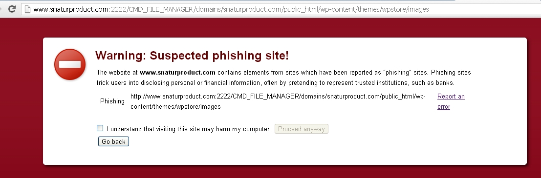 Phishing and Malware