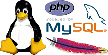 Web Hosting Option