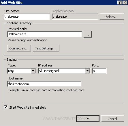 Web Site Domain IIS Web Server