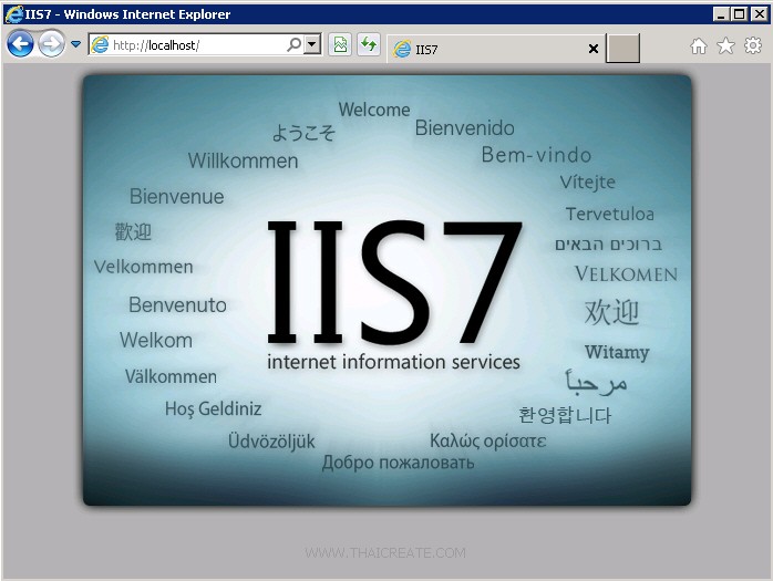 Windows Server 2008 IIS Web Server