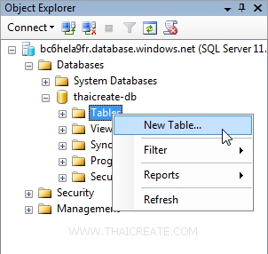 Windows Azure SQL Database