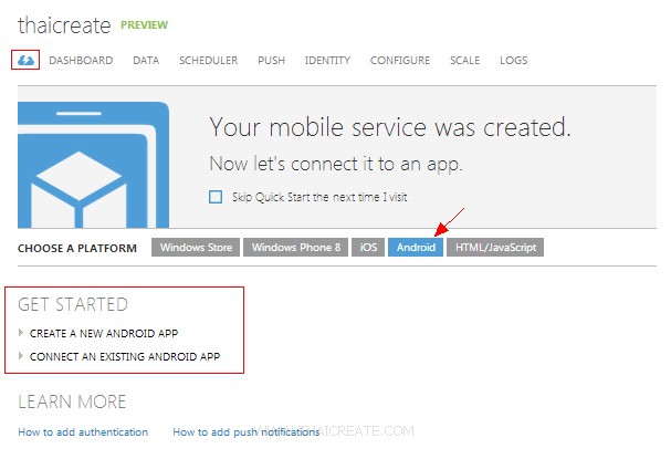Windows Azure Mobile Service Start Up