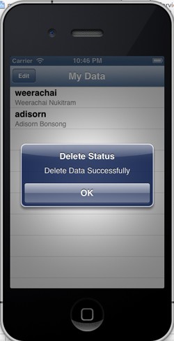 iOS iPhone Delete Data Mobile Services