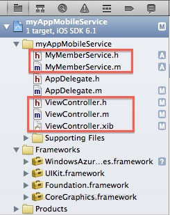 Validate Modify data in Mobile Services บน iOS Validate Modify data in Mobile Services บน iOS