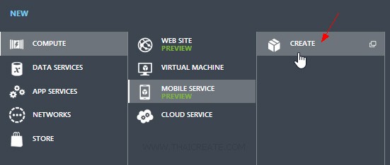 Windows Phone(WP) Mobile Services
