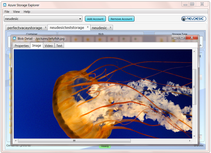 Azure Storage Explorer Azure Storage Explorer