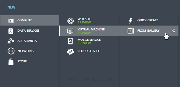 Capture Image Virtual Machine (VM)