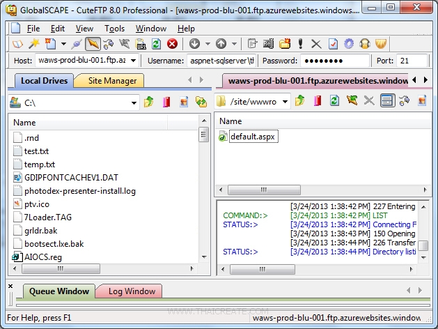 ASP.Net Web Site SQL Server Database