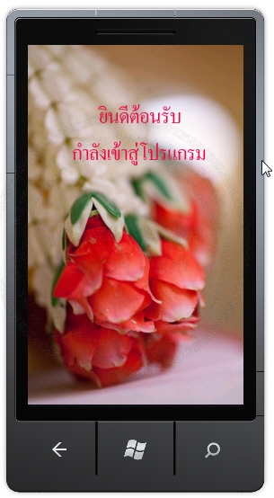 Windows Phone  SplashScreenImage, ApplicationIcon and Background