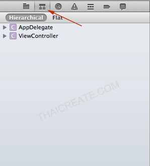 Xcode IDE Structure (iOS)