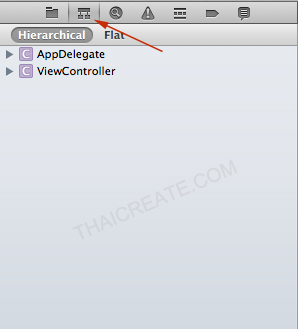 Xcode IDE Structure (iOS) Xcode IDE Structure (iOS)